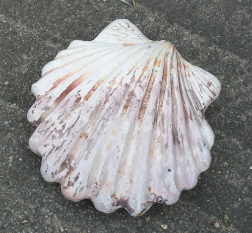 Ceramics-Animals-scallop shell rattle