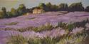 Painting--Oil-ImpressionismLavender Fields