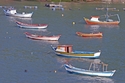 Photography-Fishermen boats, Gancho de Fora