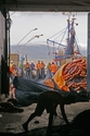 Photography-Fishermen, Gancho do Meio