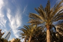 Photography-Burj Al Arab