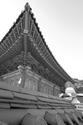 Photography-Changdeok Palace Detail