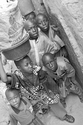 Photography-Happy Bunch