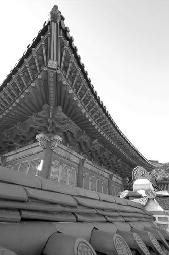 Photography-Changdeok Palace Detail