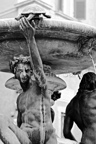 Photography-Piazza Mattei