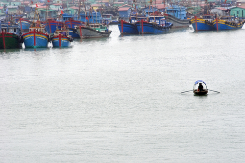 Photography-Local Harbour, Cat Ba Island