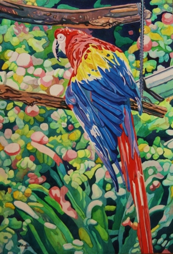Bird in Paradise