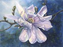 Sharon S Simmons - "Star Magnolia"