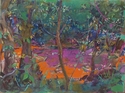 Forest Floor