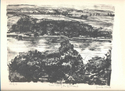 Trees Along The Riverbank