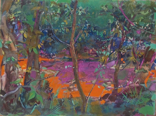 Forest Floor
