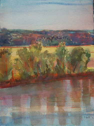 Trees Reflected in the Missouri River