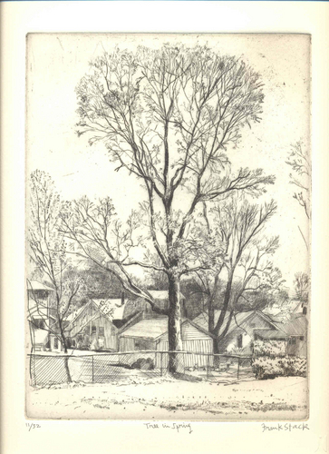 Tree in Spring