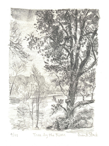 Tree by the River