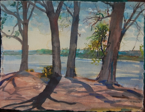 Trees Along The Riverbank