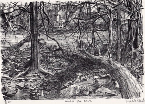 Across the Park