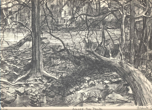Across the Park