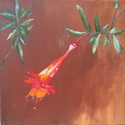 California%20Fuchsia (thumbnail)