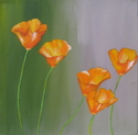 California%20Poppies (thumbnail)
