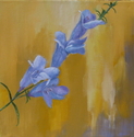Foothill%20Penstemon (thumbnail)