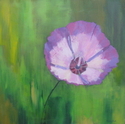 Speckled%20Clarkia (thumbnail)