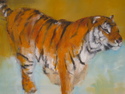 tiger (thumbnail)