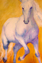 white%20stallion (thumbnail)