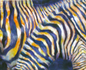 Zebras%20up%20close (thumbnail)