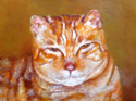 Tiger (thumbnail)