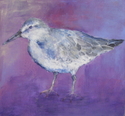 Water%20Bird (thumbnail)
