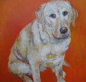 Labrador%20Retriever (thumbnail)