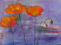 Poppies (thumbnail)