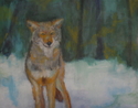 Yosemite%20coyote (thumbnail)