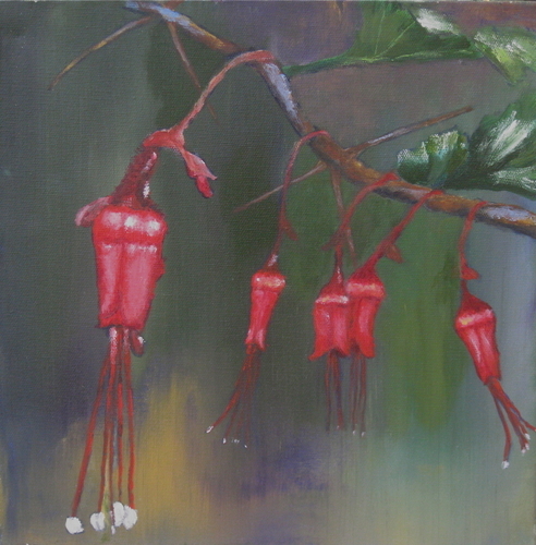 Fuchsia%20Flowered%20Gooseberries (large view)