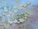 Painting--Oil-Plein AirSummer Lily Pads