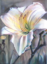 Painting--Watercolor-FloralDay Lily