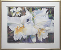 Painting--Watercolor-FloralWhite Orchids