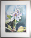 Painting--Watercolor-FloralSilent Beauty
