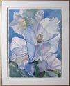 Painting--Watercolor-FloralWhite Gladiolias