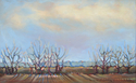 Painting--Oil-LandscapeWhispering Trees