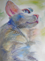 Painting--Watercolor-AnimalsVincent in the Sun