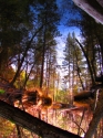Reflection Reflection (thumbnail)