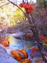 Nature Nature (thumbnail)