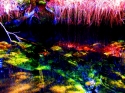 wow color wow%20color (thumbnail)