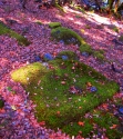 moss moss (thumbnail)