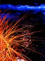 Weeds Weeds (thumbnail)