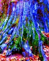 sill beautiful#3 sill%20beautiful%233 (thumbnail)