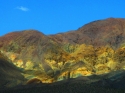 Hills #14 Hills%20%2314 (thumbnail)