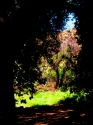 close to home #1 close%20to%20home%20%231 (thumbnail)