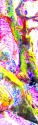 mixed up tree mixed%20up%20tree%20 (thumbnail)